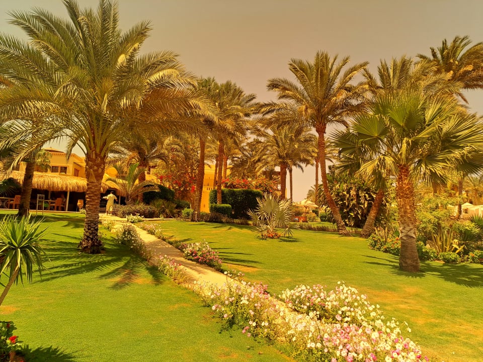 Gartenanlage Steigenberger Coraya Beach - Adults only