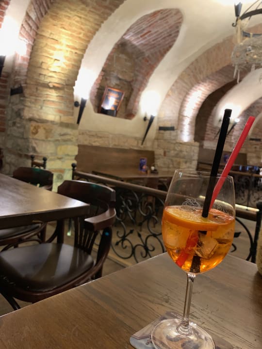 Gastro Hotel u Martina Praha