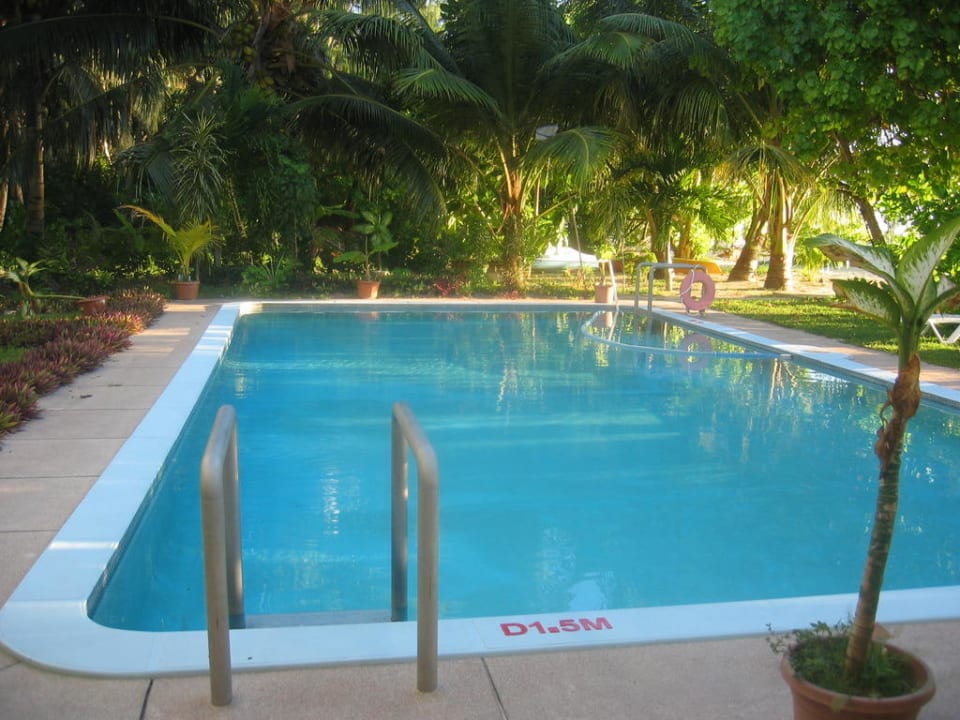 Kleiner Pool Hotel Palm Beach