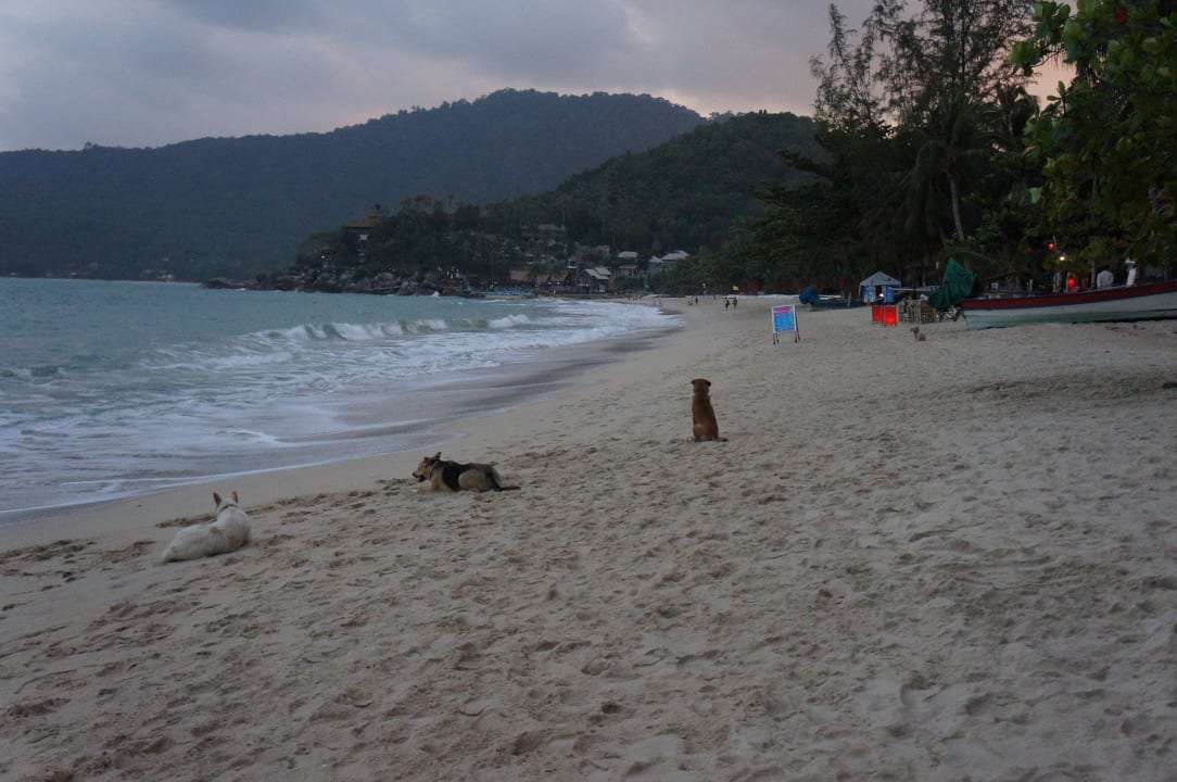Blick nach Süden Hotel Thongtapan Resort