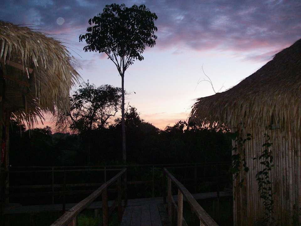 O świcie Ararinha Jungle Hotel