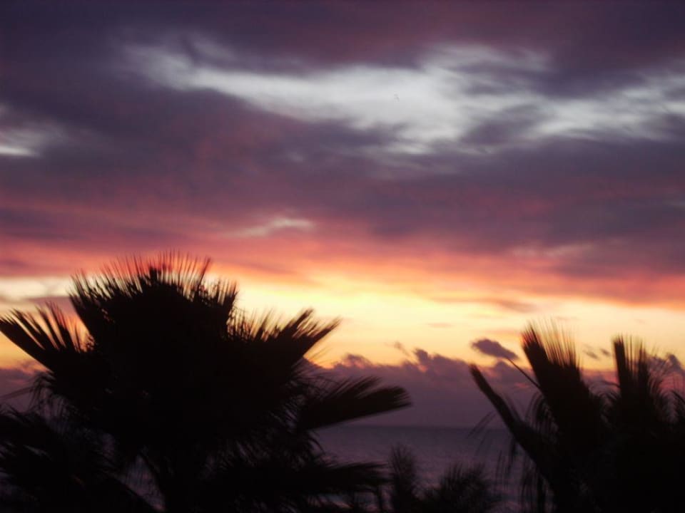 Sonnenaufgang Hotel Best Roquetas