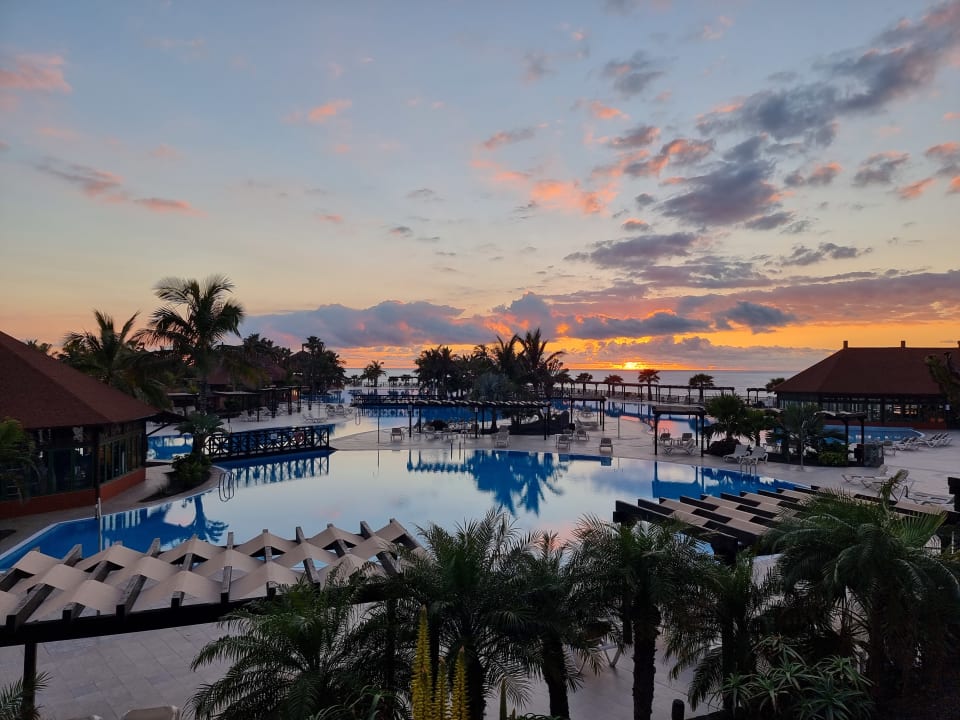 Gartenanlage La Palma Princess