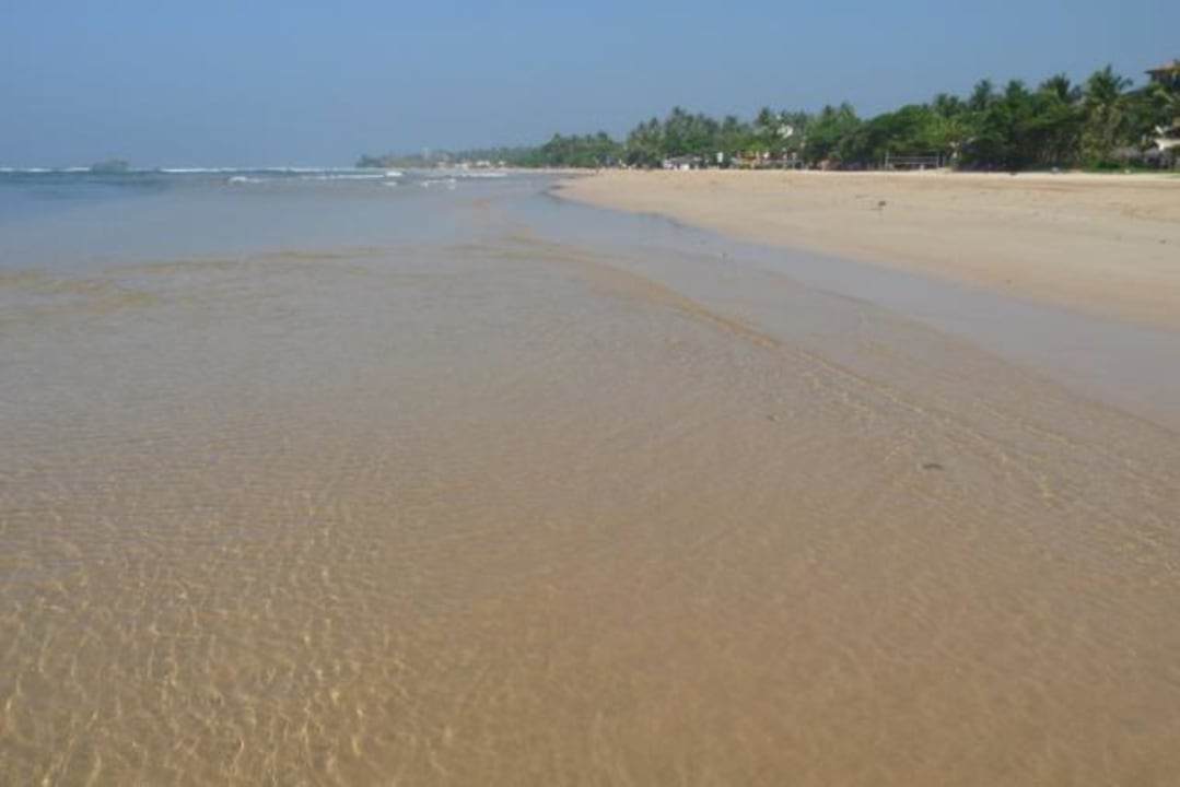 Strand Richtung Beruwela Hotel Lanka Princess Ayurveda