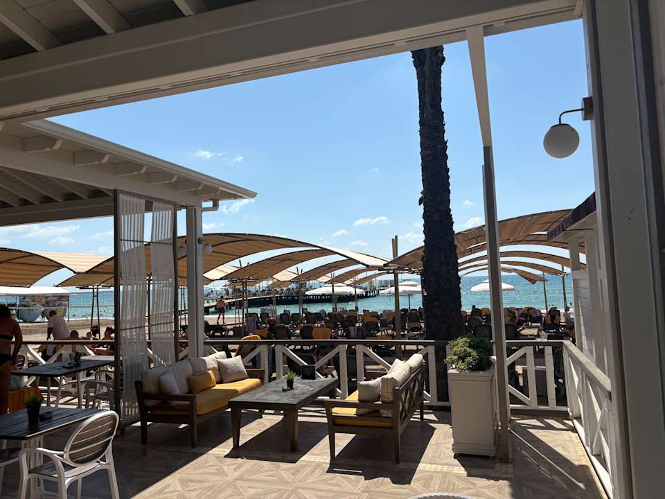 Außenansicht Papillon Ayscha