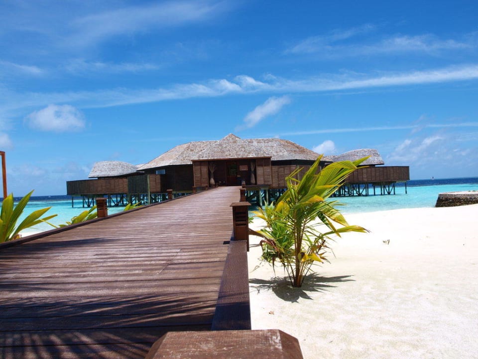 Tamara-Spa Lily Beach Resort & Spa