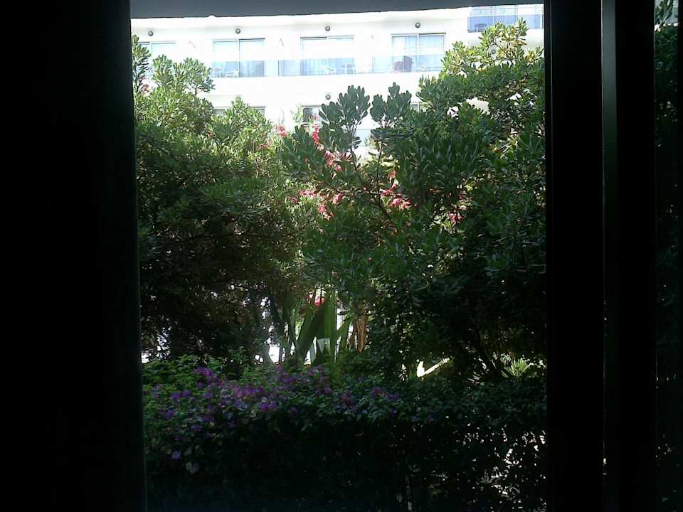 Ausblick aus dem Innenraum Hotel Osiris