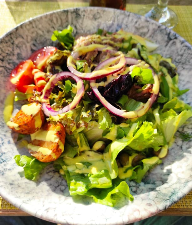 Gastro Acanthus Cennet Barut Collection