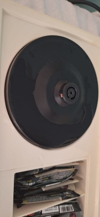 Zimmer Well Palace Side