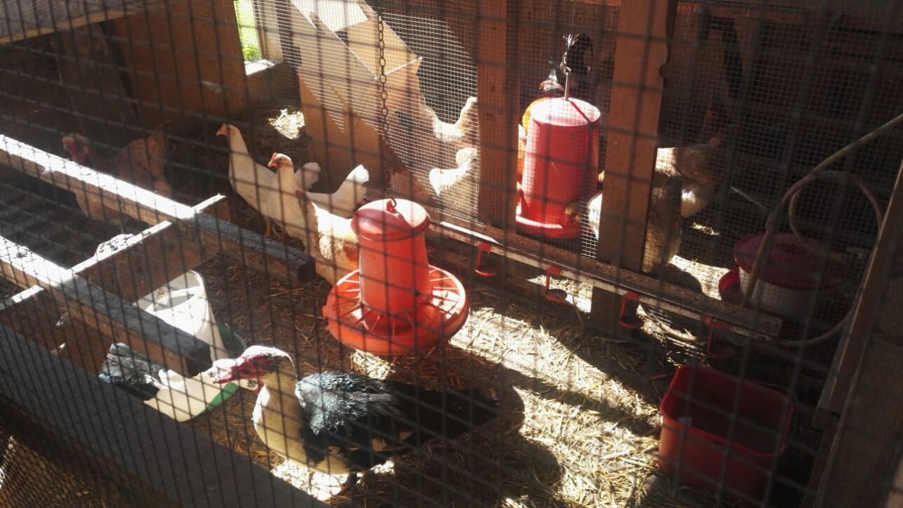 Sonstiges Biobauernhof Walchengut