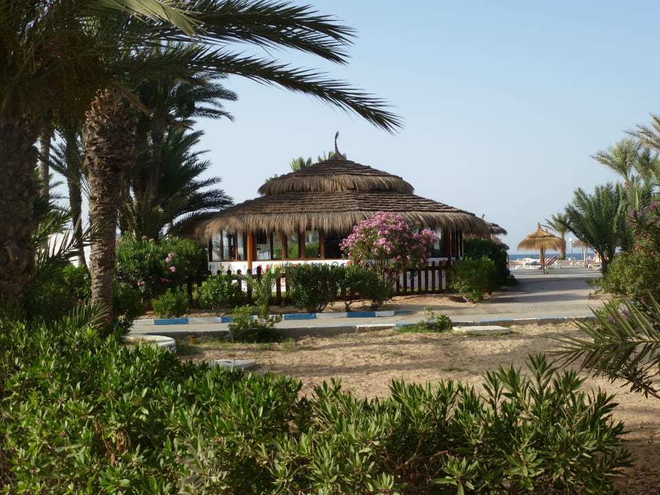 MiniClub Hotel El Mouradi Djerba Menzel