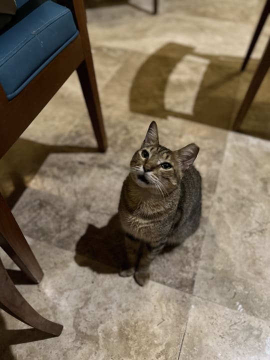 Sonstiges Iberostar Waves Tucan