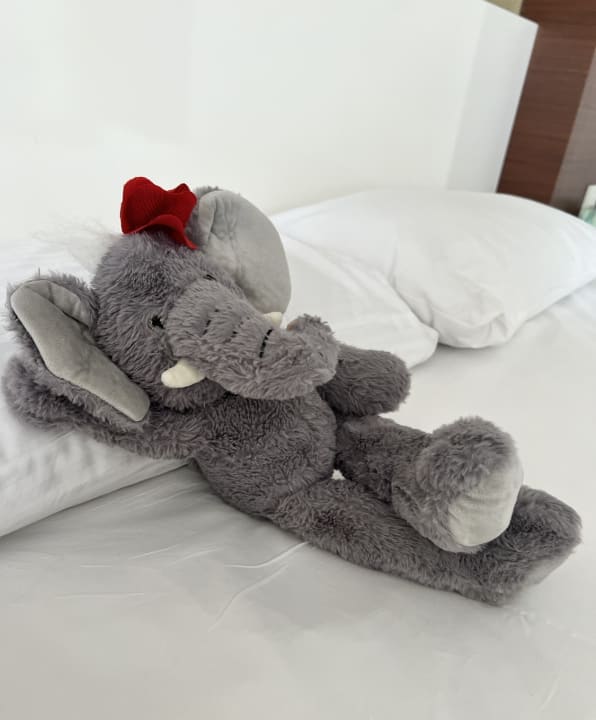 Zimmer Seaden Sea World Resort & Spa