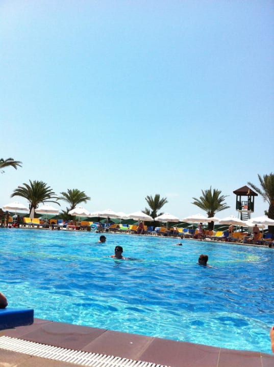 Großer Pool Papillon Belvil