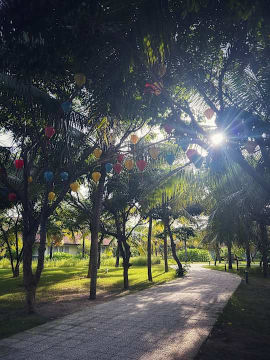 Gartenanlage ROBINSON NAM HOI AN