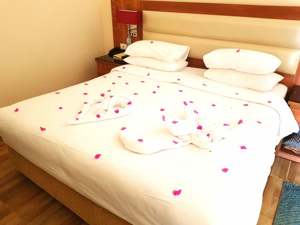 Zimmer Pickalbatros Aqua Park Resort - Sharm El Sheikh