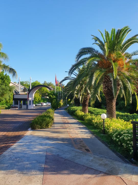 Gartenanlage Sunrise Resort Hotel