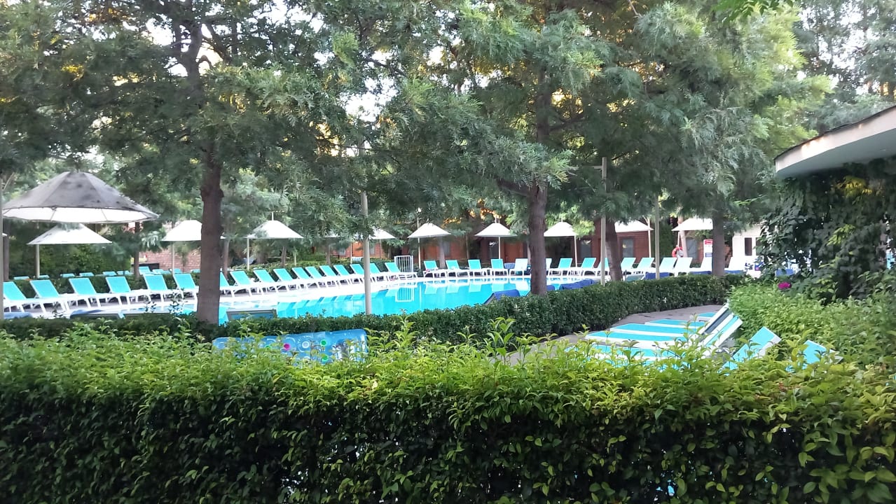 Pool Can Garden Beach