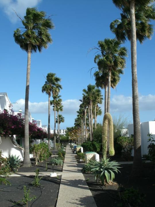 Bungalostraße Hotel Hyde Park Lane