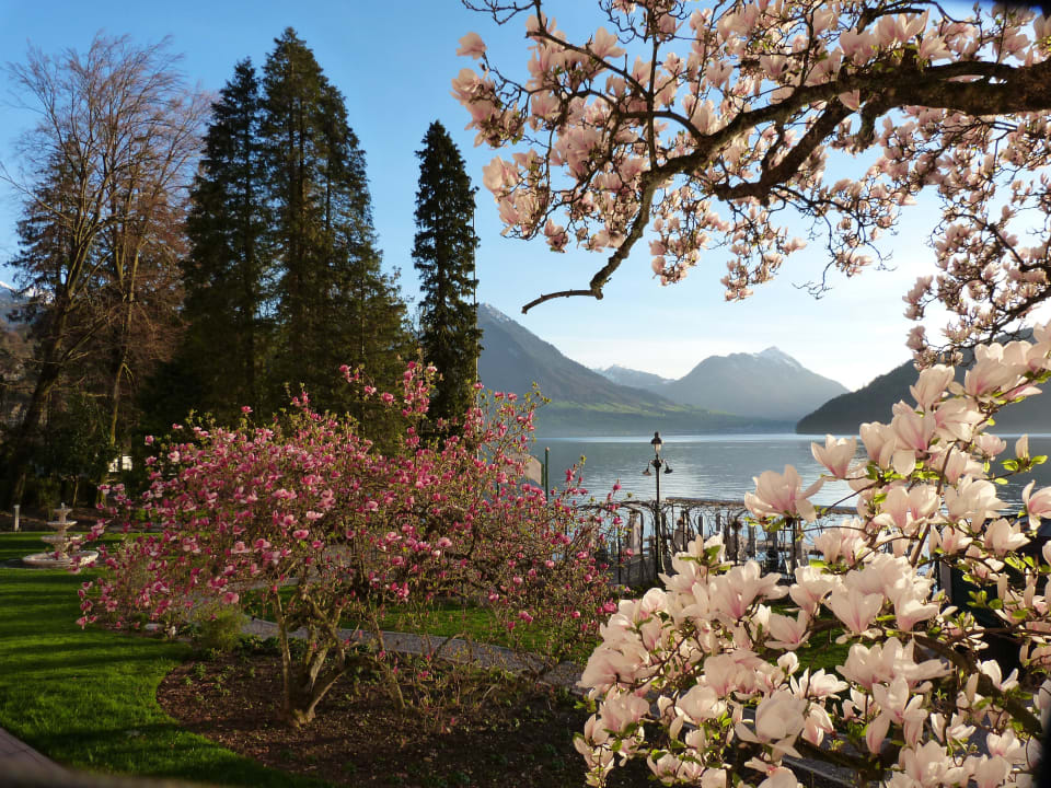 Gartenanlage Hotel Vitznauerhof