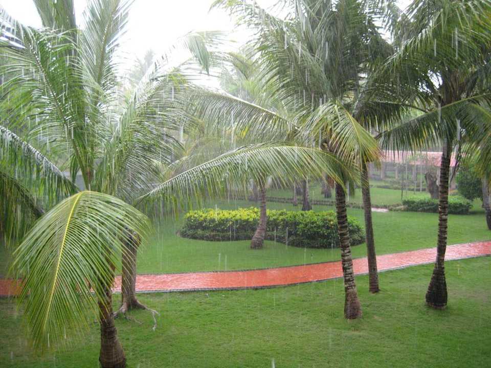 Es regnet Grand Palladium Select Bávaro Resort & Spa