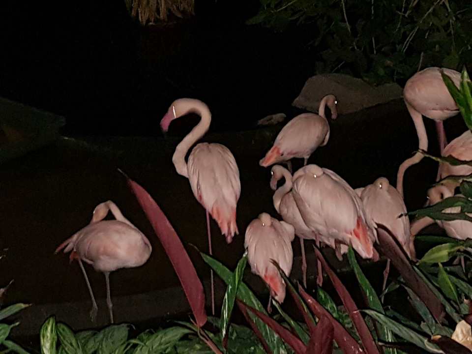 Sonstiges Tropical Islands Resort