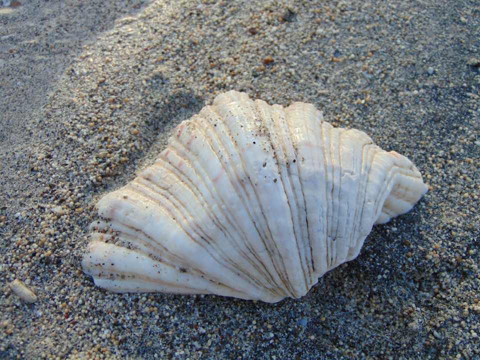 Strand Amber Lombok Beach Resort