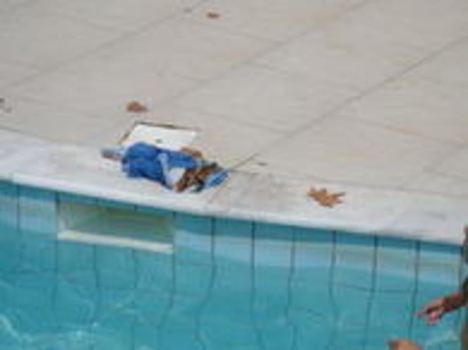 Propreté de la piscine Olympian Bay Grand Resort