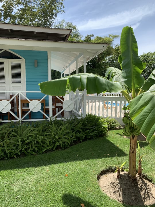 Garten Viva Heavens by Wyndham - All Inclusive Resort