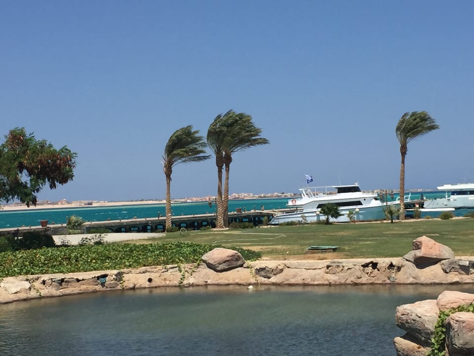 Ausblick Palm Royale Resort - Soma Bay