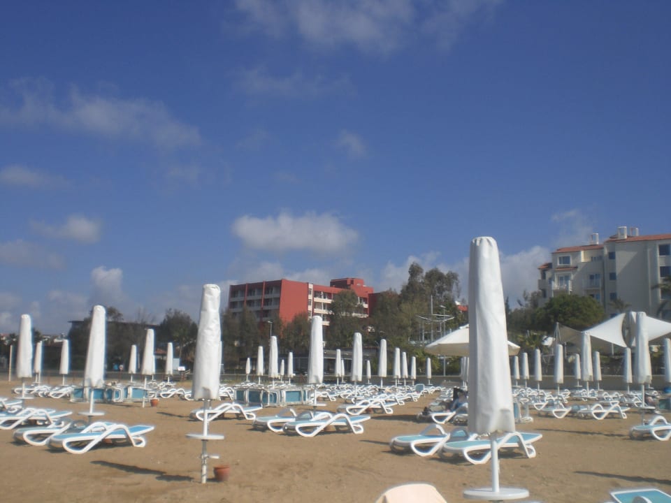 Strand PALOMA Perissia