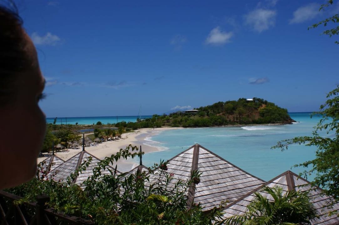 Blick von oben auf den Strand Cocobay Resort Antigua - Adults only