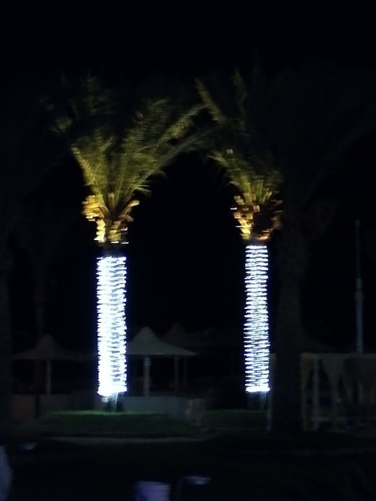 Strand Pickalbatros Royal Moderna Resort-Sharm El Sheikh