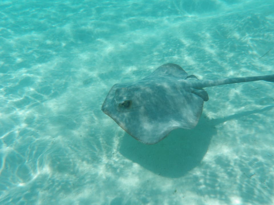 Rochen Embudu Village