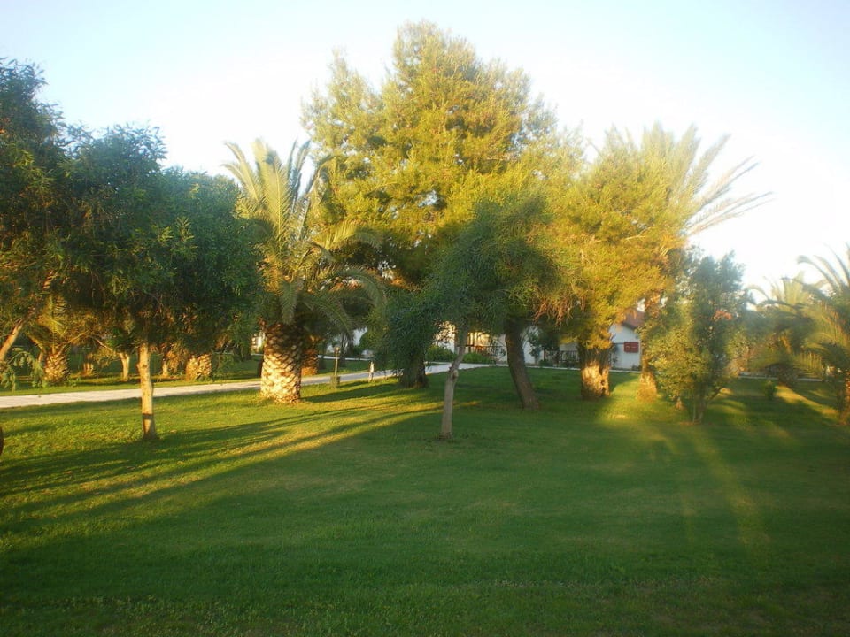 Palmengarten Hotel Süral