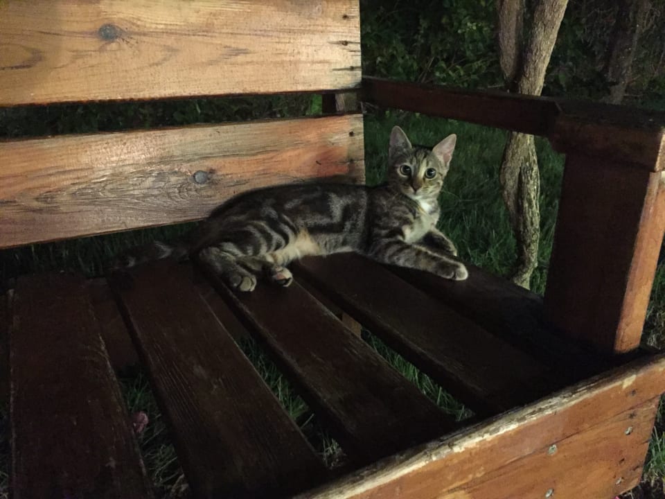 Sonstiges Saturn Palace Resort Hotel