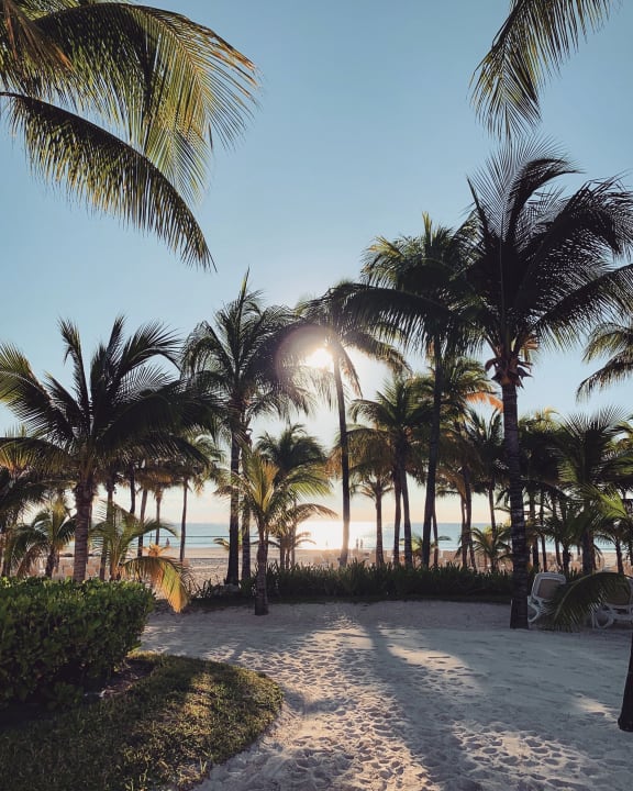 Garten Hotel Riu Playacar