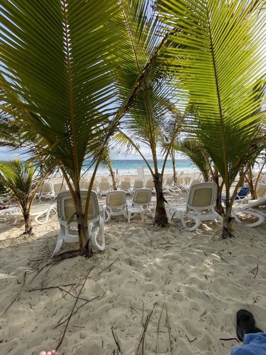 Strand Hotel Riu Republica - Adults only