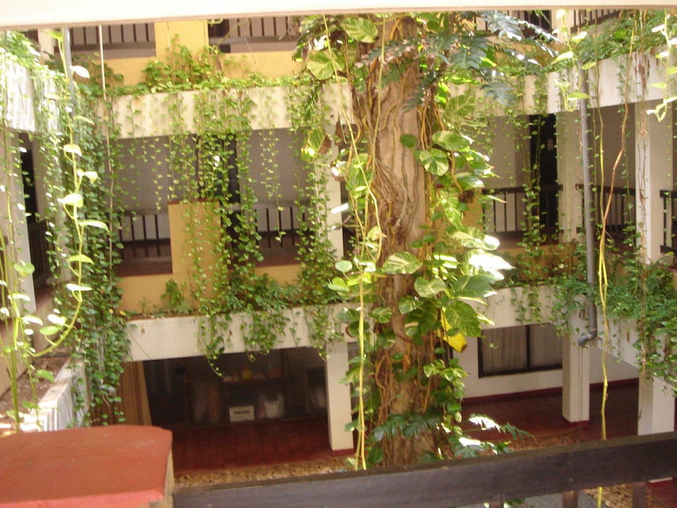 Überdachter Innenhof Hotel Dolphin Beach