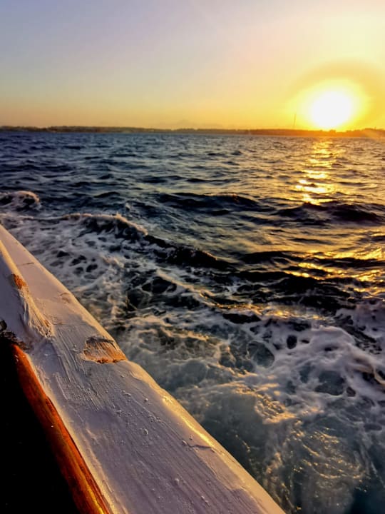 Außenansicht Desert Rose