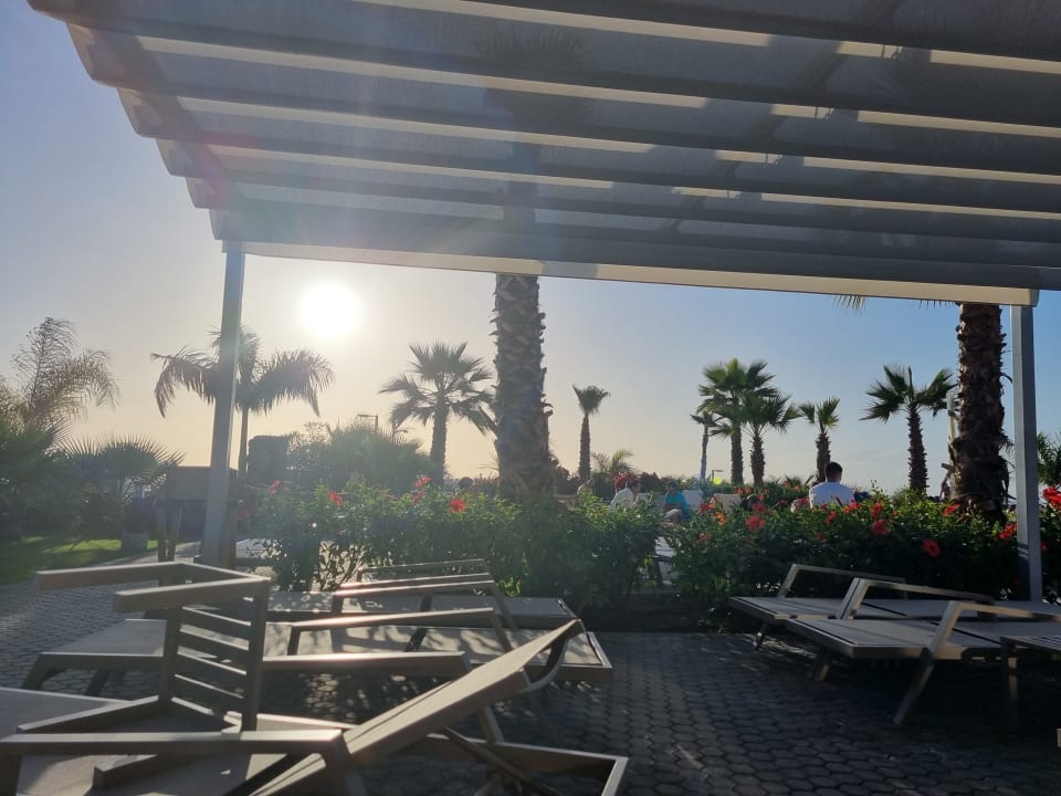 Pool Hotel Riu Buenavista