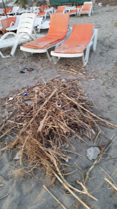 Holz Hotel Club Tess