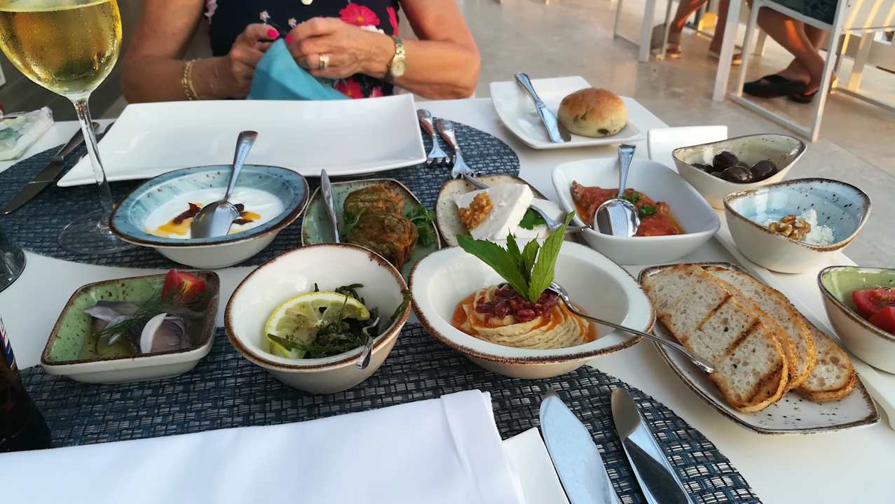 Gastro Acanthus Cennet Barut Collection