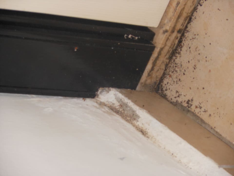 Ameisen Oz Hotels Incekum Beach