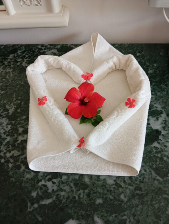 Zimmer Hotel Royal Nozha