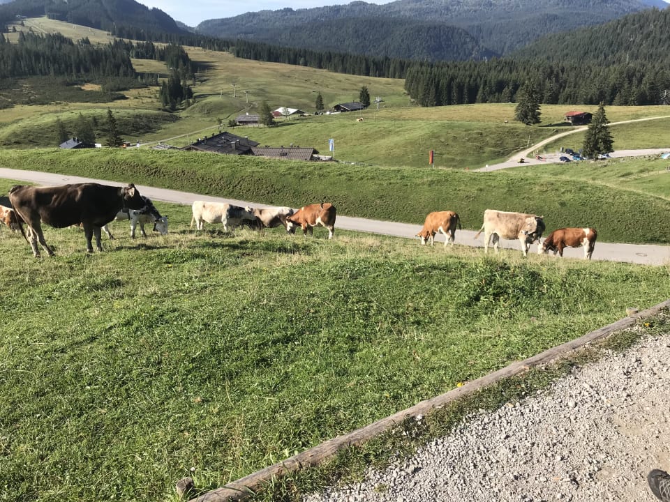 Außenansicht Hotel Winklmoosalm - das Original