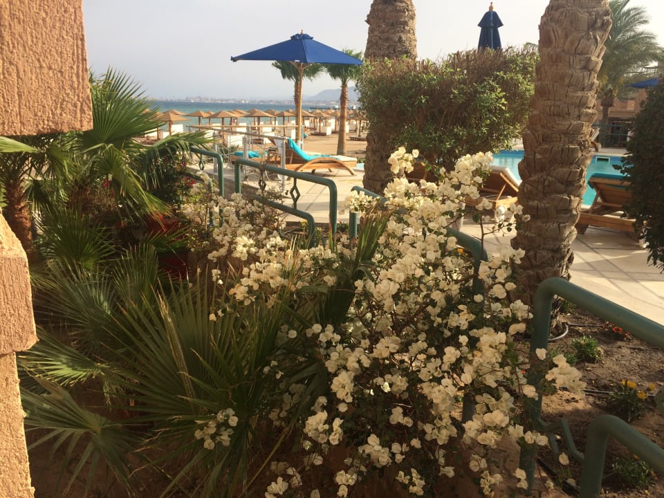 Ausblick Shams Prestige Abu Soma-Adults Only