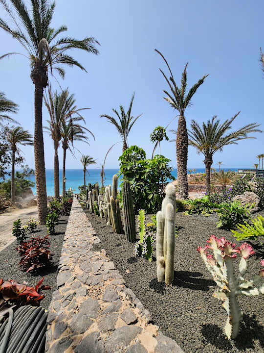 Gartenanlage R2 Rio Calma Hotel & Spa & Conference