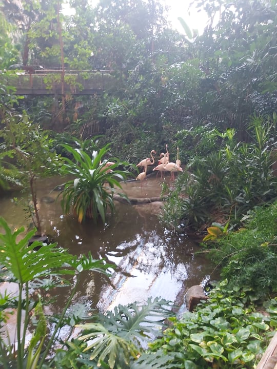 Gartenanlage Tropical Islands Resort