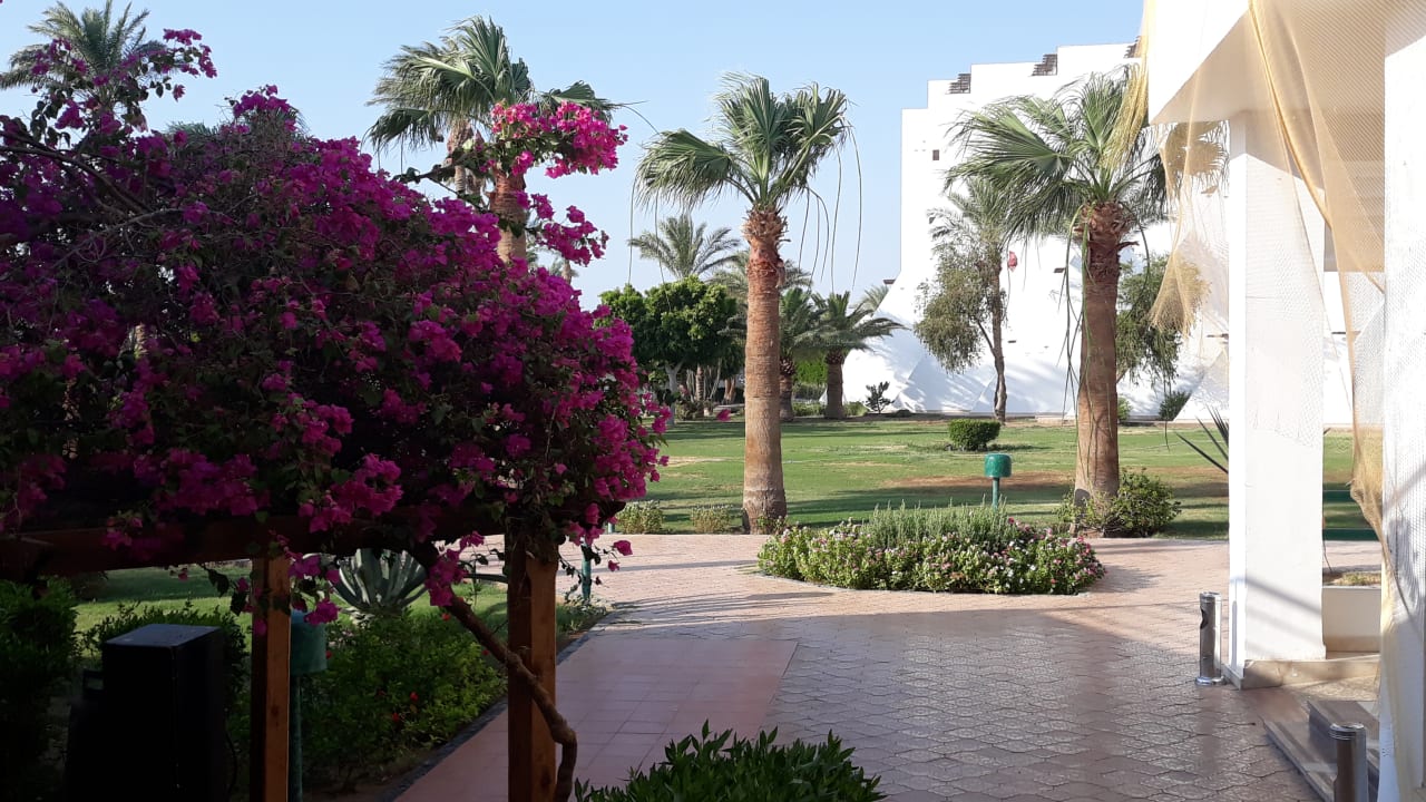 Garten Shams Safaga Resort